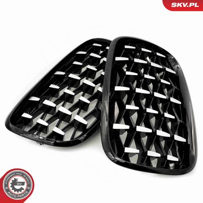 GRILA RADIATOR ESEN SKV 66SKV292 2