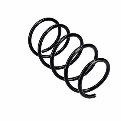 ARC SPIRAL EIBACH R10991 11