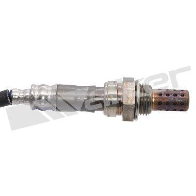 LAMBDASONDE WALKER PRODUCTS 25024107 1