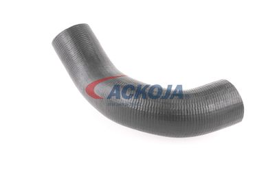 FURTUN EAR SUPRAALIMENTARE ACKOJA A380298 40
