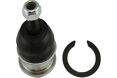 Kavo Parts Šarnyras / girgždukas