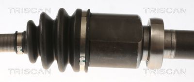 PLANETARA TRISCAN 854016658 2