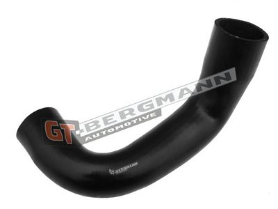 GT-BERGMANN Automotive Kompresoriaus padavimo žarna