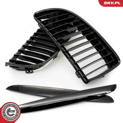 GRILA RADIATOR ESEN SKV 66SKV085 4
