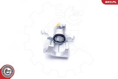 Brake Caliper 34SKV803