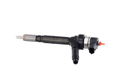 INJECTOR REMANTE 002003001191R 14