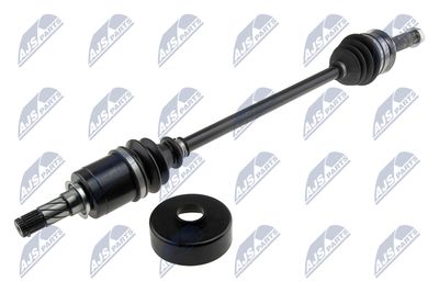 NTY Pusašis