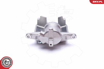 Brake Caliper 50SKV084