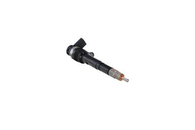INJECTOR REMANTE 002003001489R 47