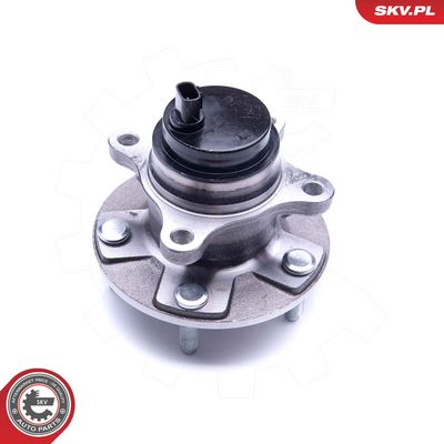 Rato guolio komplektas