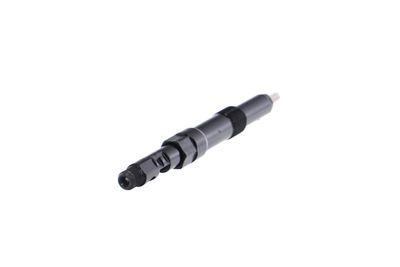 INJECTOR REMANTE 002003000200R 31