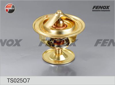 термостат, охладителна течност FENOX TS025O7