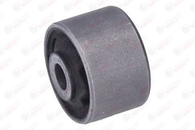 BUCșă AMORTIZOR BIRTH 40095 9