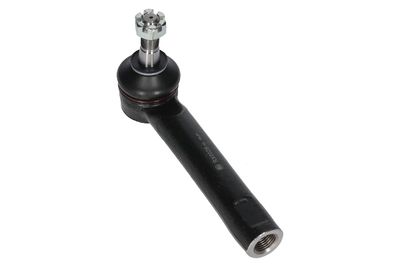 CAP DE BARA BIRTH RX0026 9