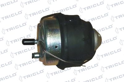 окачване, двигател TRICLO 367248