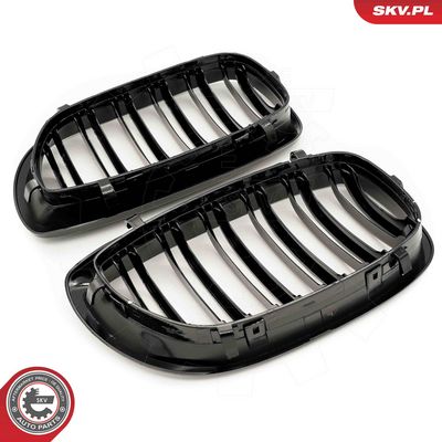 GRILA RADIATOR ESEN SKV 66SKV073 3