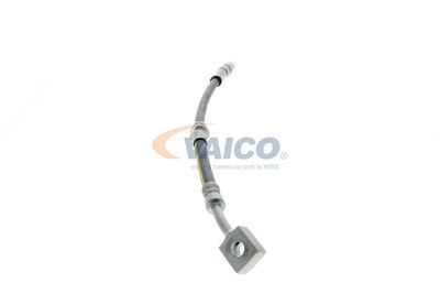 FURTUN FRANA VAICO V404110 52