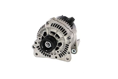 GENERATOR / ALTERNATOR REMANTE 011003000195R 62