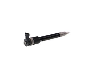 INJECTOR REMANTE 002003002307R 33