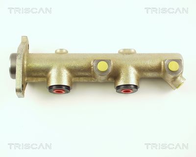 TRISCAN 8130 28100 Головний гальмівний циліндр 