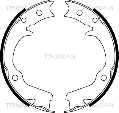 TRISCAN 8100 68001 Гальмівні колодки барабанні 