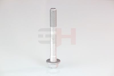 SURUB CAPAT DE AX GH GH391580 11