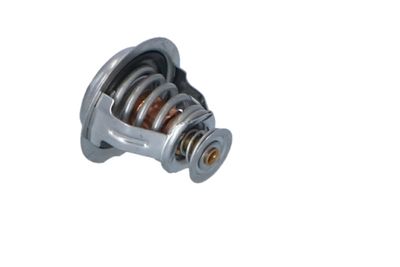 TERMOSTAT LICHID RACIRE NRF 725209 21