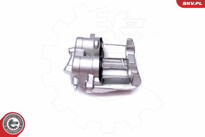 Brake Caliper 50SKV174