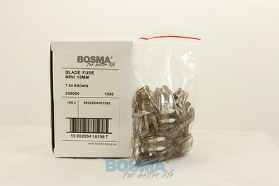 Kaitse BOSMA 1990