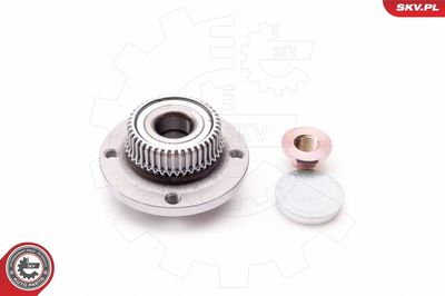 Wheel Bearing Kit 29SKV012