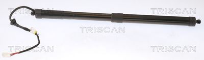 Газовая пружина, крышка багажник TRISCAN 8710 13302 для TOYOTA RAV 4