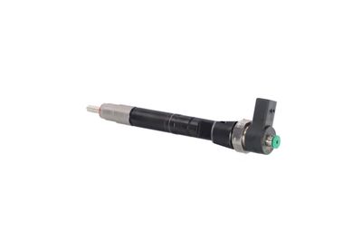 INJECTOR REMANTE 002003002295R 19