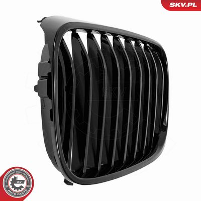 GRILA RADIATOR ESEN SKV 66SKV222 7