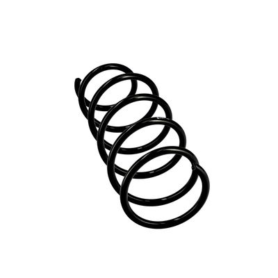 ARC SPIRAL EIBACH R10077 24