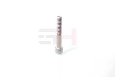 SURUB CAPAT DE AX GH GH391070 27