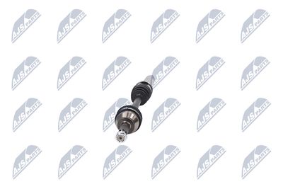 PLANETARA NTY NPWFR028 16