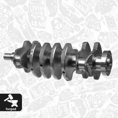 ARBORE COTIT ET ENGINETEAM HK0205 2