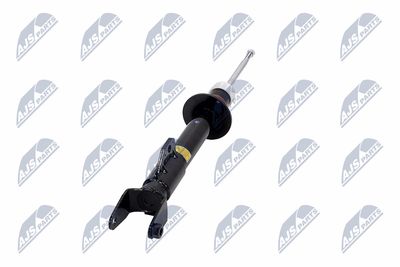 AMORTIZOR NTY ACH119 18