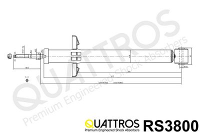 AMORTIZOR DAVID VASCO RS3800 1