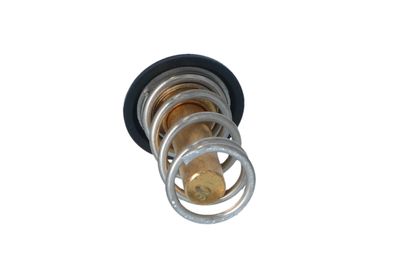 TERMOSTAT LICHID RACIRE NRF 725069 13