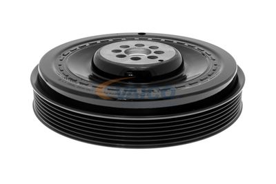 FULIE CUREA ARBORE COTIT VAICO V101492 47