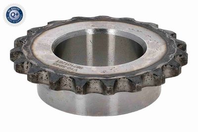 ZAHNRAD ÖLPUMPE VAICO V105945 3