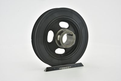 FULIE CUREA ARBORE COTIT FEBEST CRDSCALIB 48