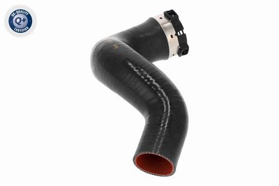 LADELUFTSCHLAUCH VAICO V461396 5