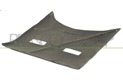 MATERIAL AMORTIZARE ZGOMOT NISA MOTOR