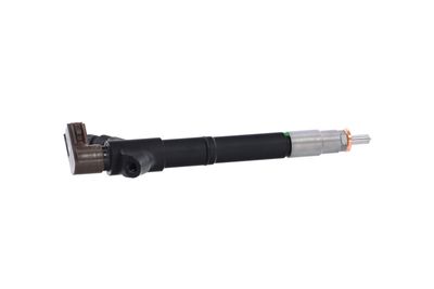 INJECTOR REMANTE 002003001395R 39