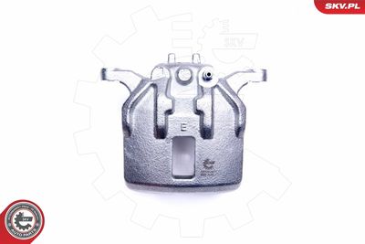 Brake Caliper 44SKV971