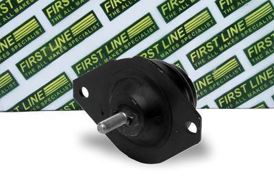 окачване, двигател FIRST LINE FEM3443
