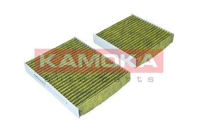 Filter, cabin air 6080040