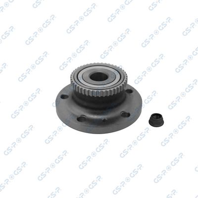 SET RULMENT ROATA GSP 9225036K